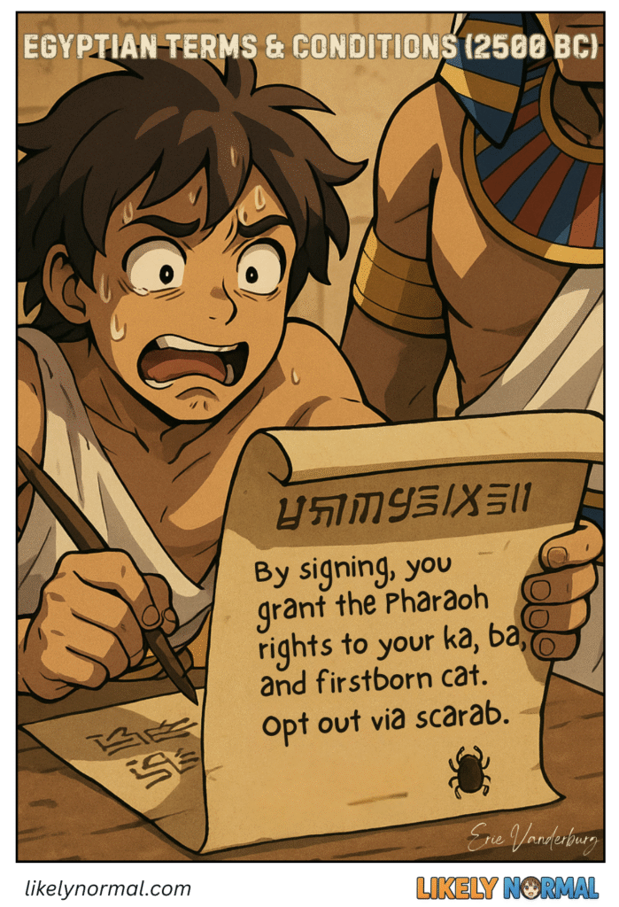 Egyptian Terms and Conditions