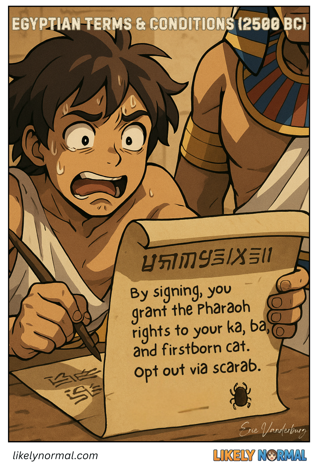 Egyptian Terms and Conditions Egyptian Terms and Conditions