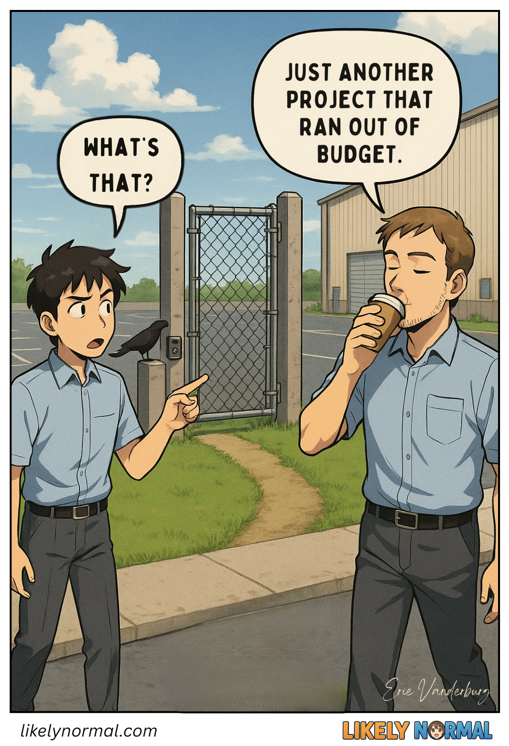 Budget Problems and Security Holes